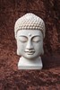 Picture of buddha head