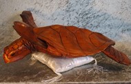 Show details for turtle made of wood Picture of turtle made of wood