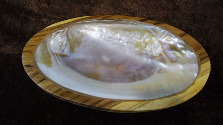 Picture of shell