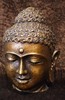 Picture of buddha head