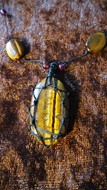 Show details for necklace with gemstone Picture of necklace with gemstone