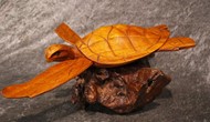 Show details for turtle on wood Picture of turtle on wood