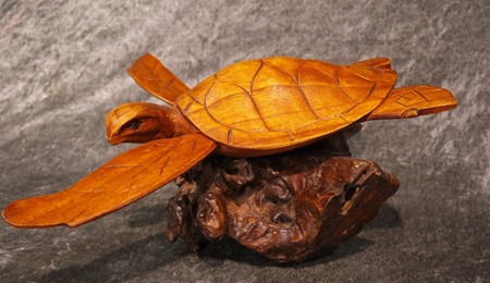 Picture of turtle on wood