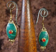 Picture of earrings