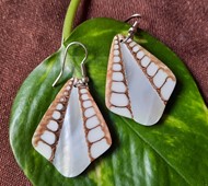 Picture of earrings