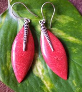 Picture of earrings