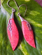 Picture of earrings