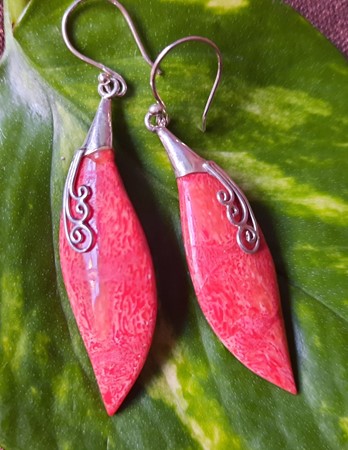 Picture of earrings