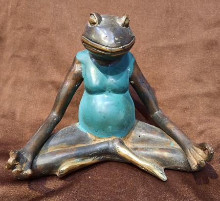 Picture of frog