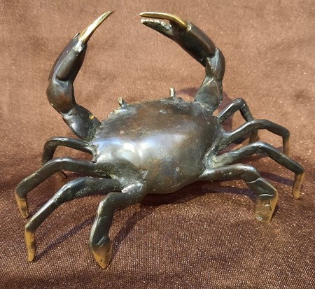 Picture of crab