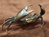 Picture of crab