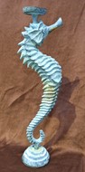 Picture of seahorse