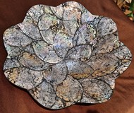 Picture of shell